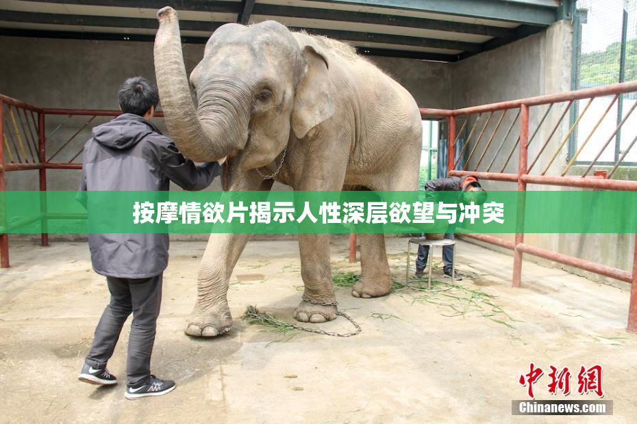 按摩情欲片揭示人性深层欲望与冲突