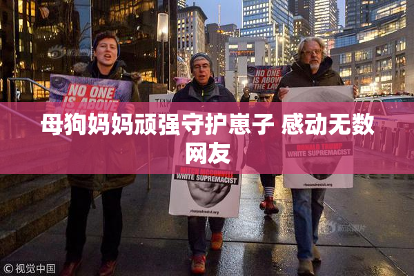 母狗妈妈顽强守护崽子 感动无数网友
