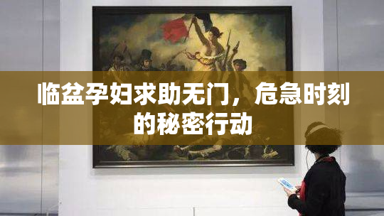 临盆孕妇求助无门，危急时刻的秘密行动