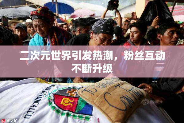二次元世界引发热潮，粉丝互动不断升级