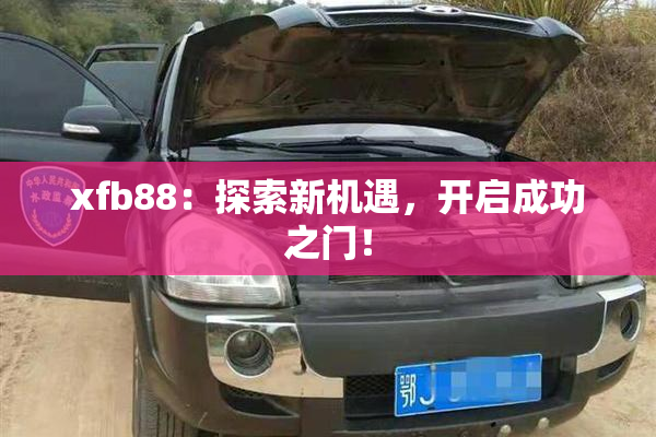 xfb88：探索新机遇，开启成功之门！