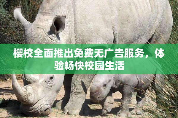 樱校全面推出免费无广告服务，体验畅快校园生活