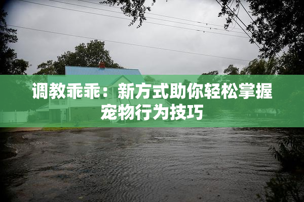 调教乖乖：新方式助你轻松掌握宠物行为技巧