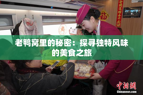 老鸭窝里的秘密：探寻独特风味的美食之旅