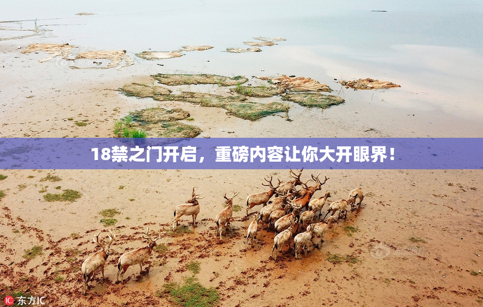 18禁之门开启，重磅内容让你大开眼界！