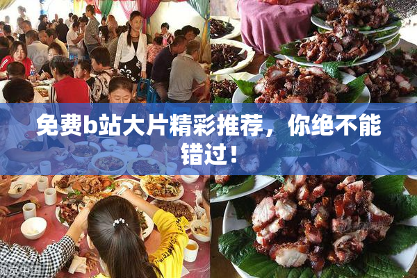 免费b站大片精彩推荐，你绝不能错过！