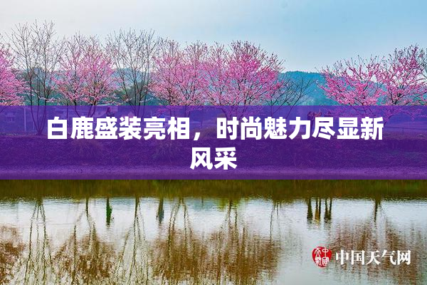 白鹿盛装亮相，时尚魅力尽显新风采