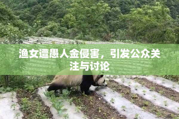 渔女遭愚人金侵害，引发公众关注与讨论