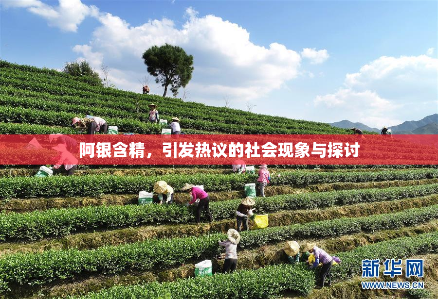 阿银含精，引发热议的社会现象与探讨