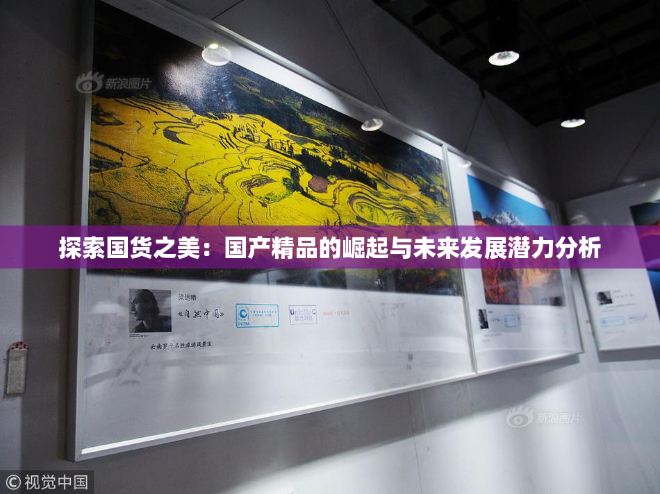 探索国货之美：国产精品的崛起与未来发展潜力分析