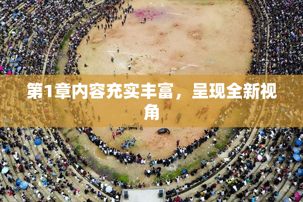 第1章内容充实丰富，呈现全新视角