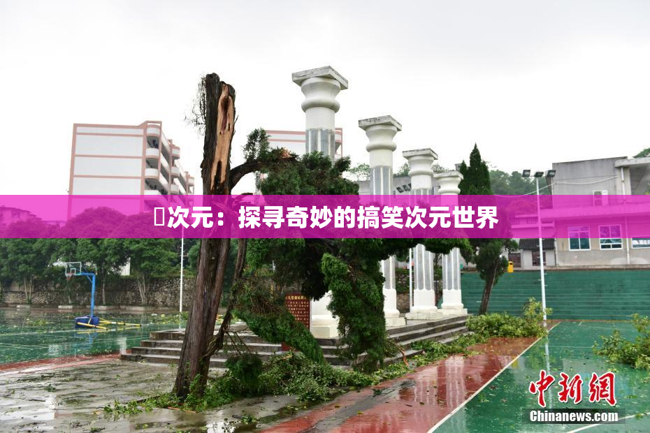 囧次元：探寻奇妙的搞笑次元世界