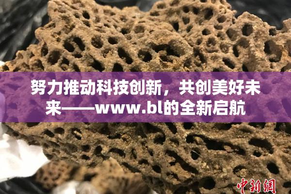 努力推动科技创新，共创美好未来——www.bl的全新启航