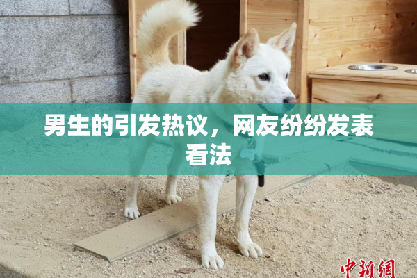 男生的引发热议，网友纷纷发表看法