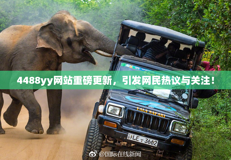 4488yy网站重磅更新，引发网民热议与关注！