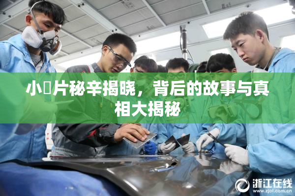 小黃片秘辛揭晓，背后的故事与真相大揭秘
