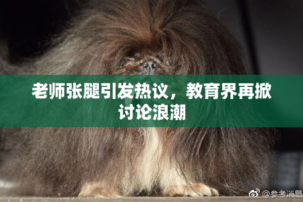 老师张腿引发热议，教育界再掀讨论浪潮