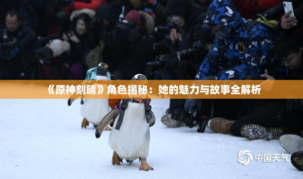 《原神刻晴》角色揭秘：她的魅力与故事全解析