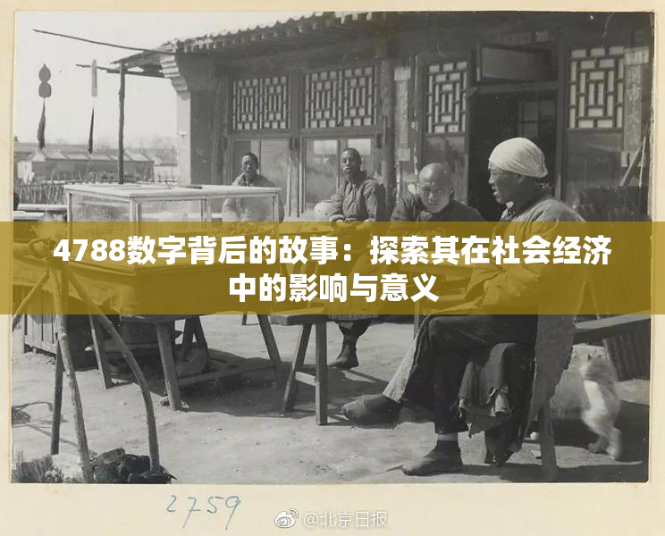 4788数字背后的故事：探索其在社会经济中的影响与意义