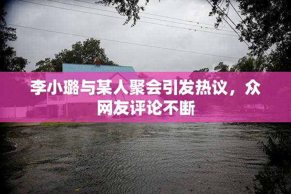 李小璐与某人聚会引发热议，众网友评论不断