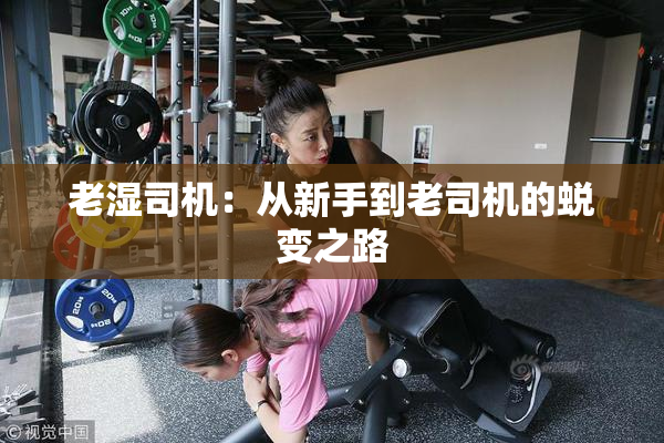 老湿司机：从新手到老司机的蜕变之路