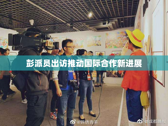 彭派员出访推动国际合作新进展