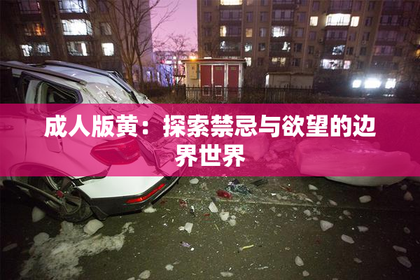 成人版黄：探索禁忌与欲望的边界世界