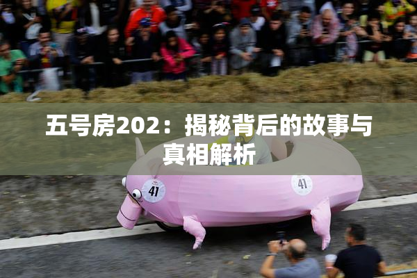 五号房202：揭秘背后的故事与真相解析