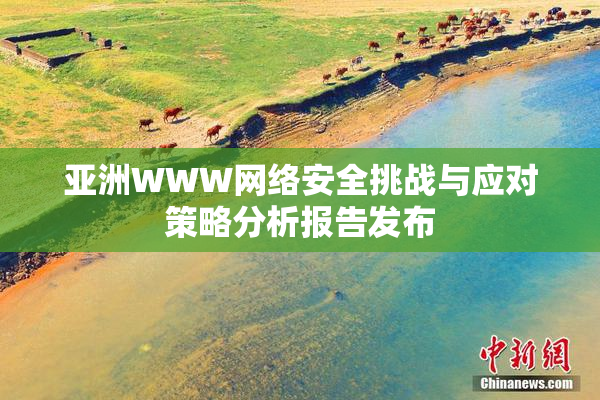 亚洲WWW网络安全挑战与应对策略分析报告发布