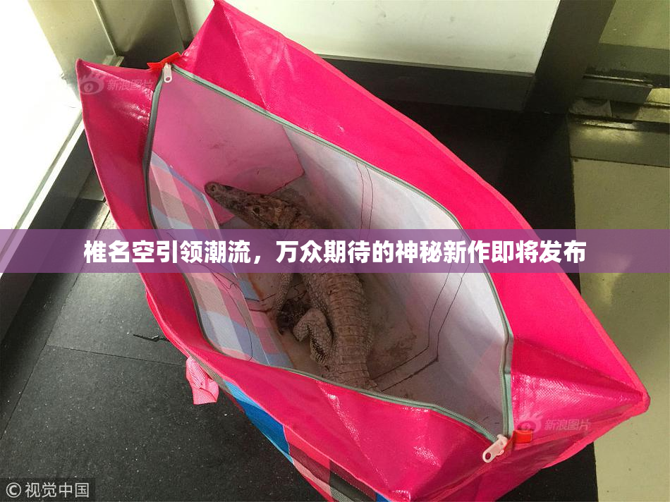 椎名空引领潮流，万众期待的神秘新作即将发布