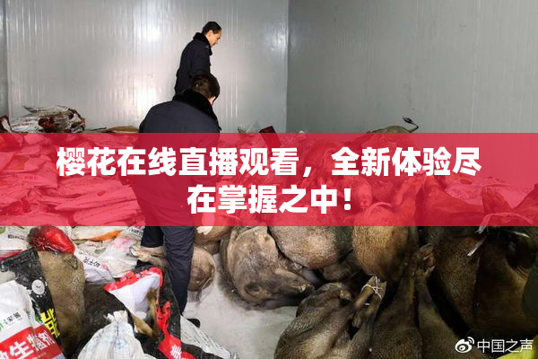 樱花在线直播观看，全新体验尽在掌握之中！