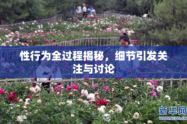 性行为全过程揭秘，细节引发关注与讨论