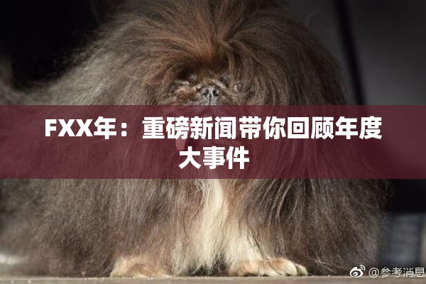 FXX年：重磅新闻带你回顾年度大事件