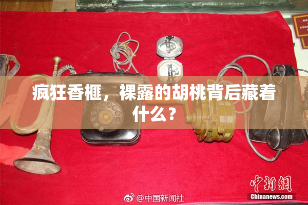 疯狂香榧，裸露的胡桃背后藏着什么？