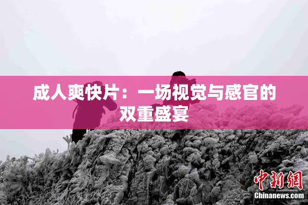 成人爽快片：一场视觉与感官的双重盛宴