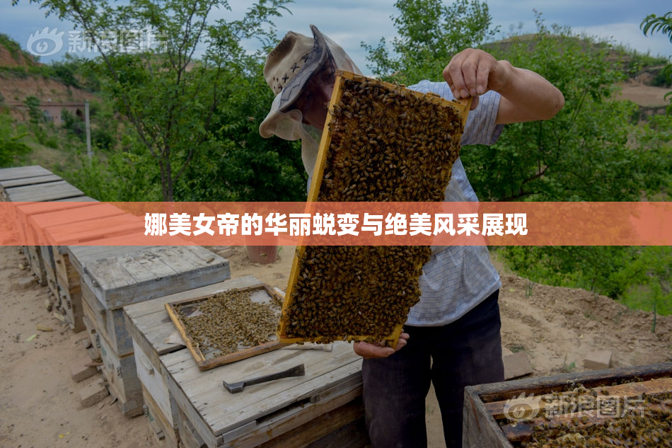 娜美女帝的华丽蜕变与绝美风采展现
