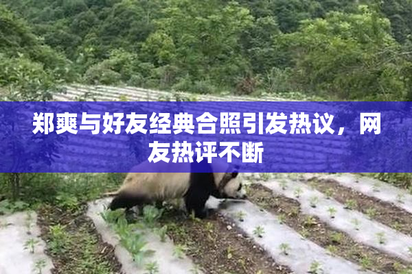 郑爽与好友经典合照引发热议，网友热评不断