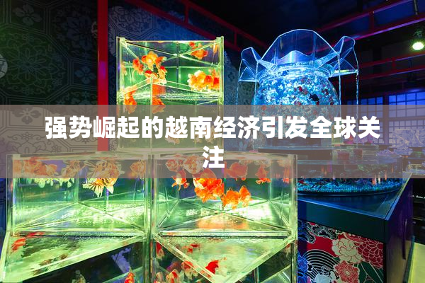 强势崛起的越南经济引发全球关注