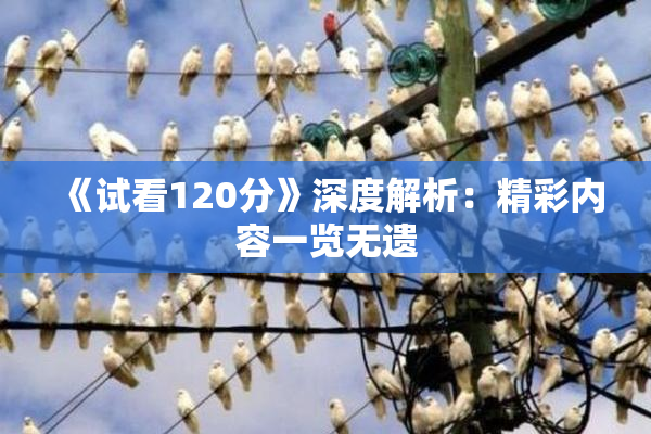 《试看120分》深度解析：精彩内容一览无遗
