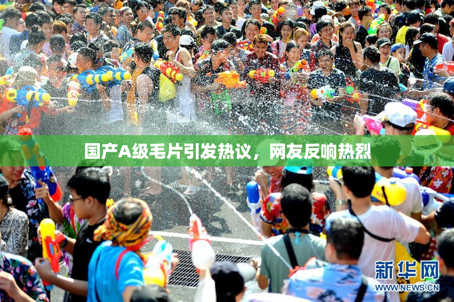国产A级毛片引发热议，网友反响热烈