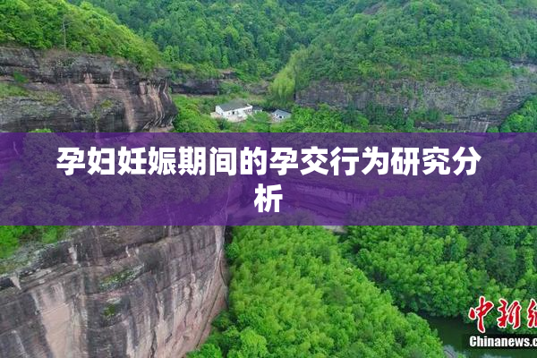 孕妇妊娠期间的孕交行为研究分析