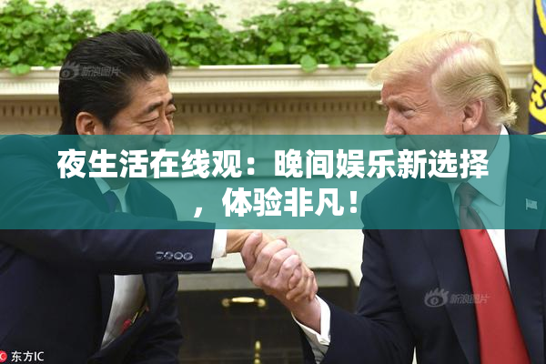 夜生活在线观：晚间娱乐新选择，体验非凡！