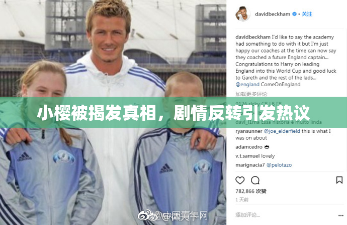 小樱被揭发真相，剧情反转引发热议