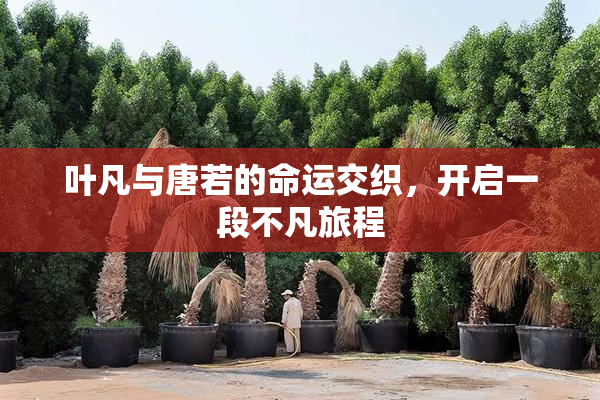 叶凡与唐若的命运交织，开启一段不凡旅程