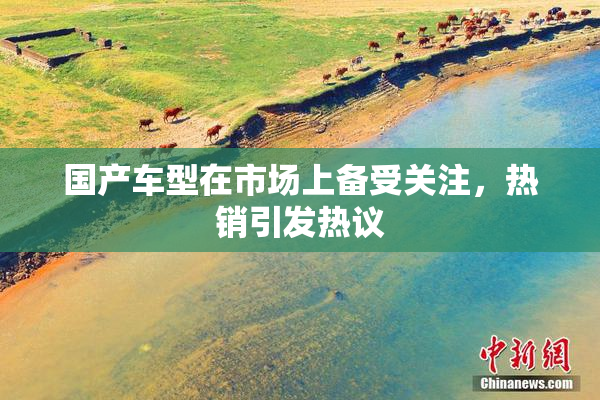 国产车型在市场上备受关注，热销引发热议