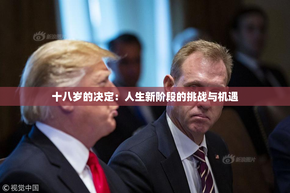 十八岁的决定：人生新阶段的挑战与机遇