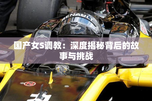 国产女S调教：深度揭秘背后的故事与挑战