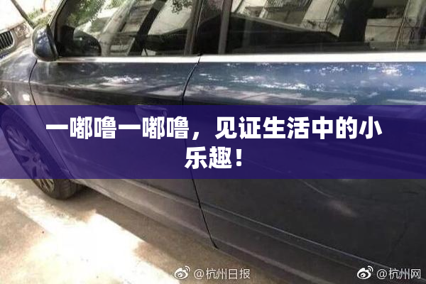 一嘟噜一嘟噜，见证生活中的小乐趣！
