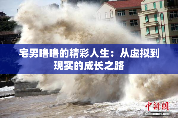 宅男噜噜的精彩人生：从虚拟到现实的成长之路
