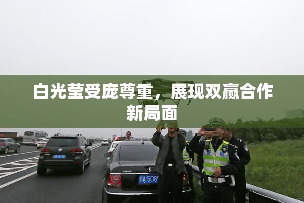 白光莹受庞尊重，展现双赢合作新局面